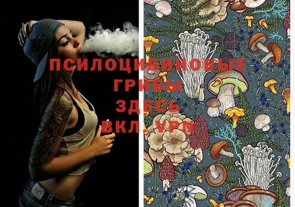 гашиш Володарск