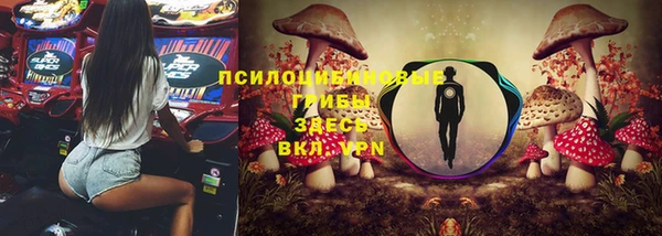 эйфоретик Россошь